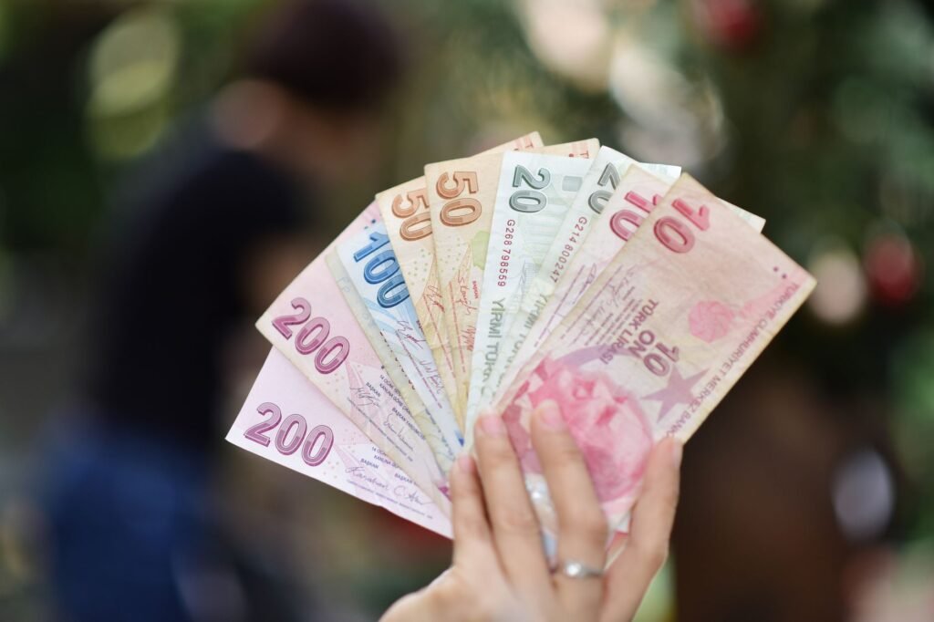Türkiye Ekonomisinde Temmuz Ayı Tablosu: Sanayi Üretimi Yükseldi, PMI Geriledi Türk Lirası banknotları